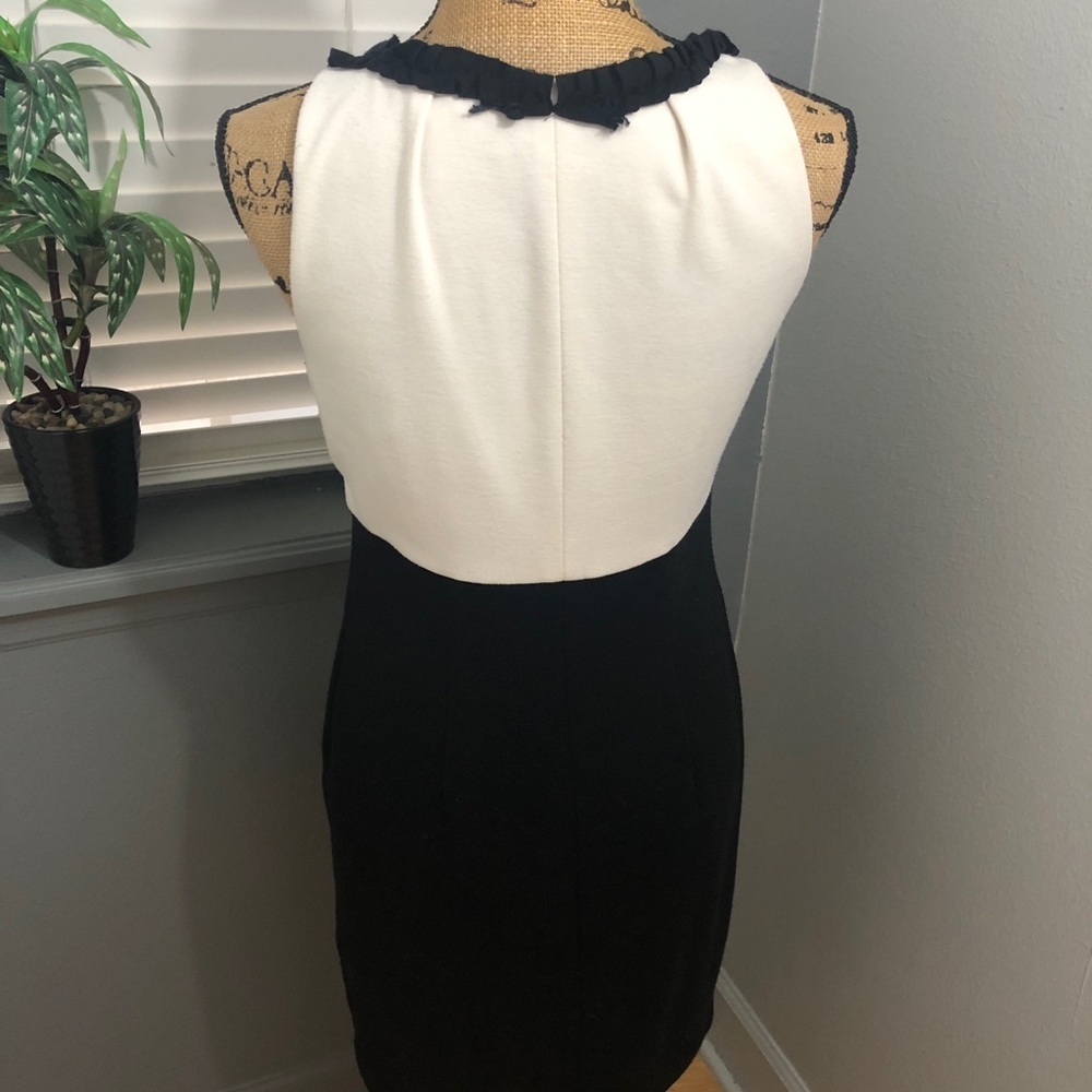 Just Taylor black & cream dress w/ flower detail💕 - Picture 4 of 5